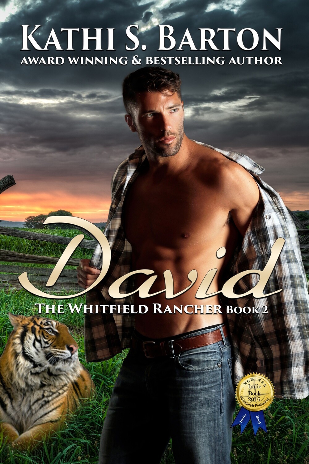 David - The Whitfield Rancher Book 2 - eBook