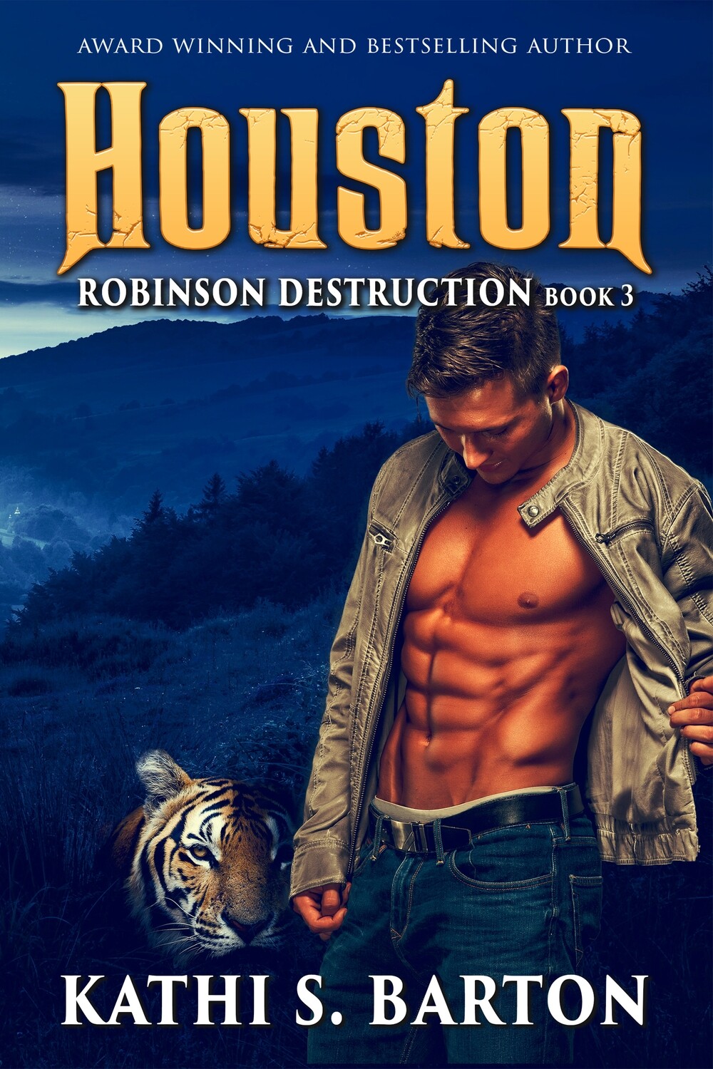 Houston - Robinson Destruction Book 3 - eBook