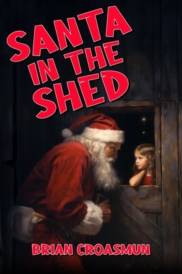 Santa in the Shed - eBook
