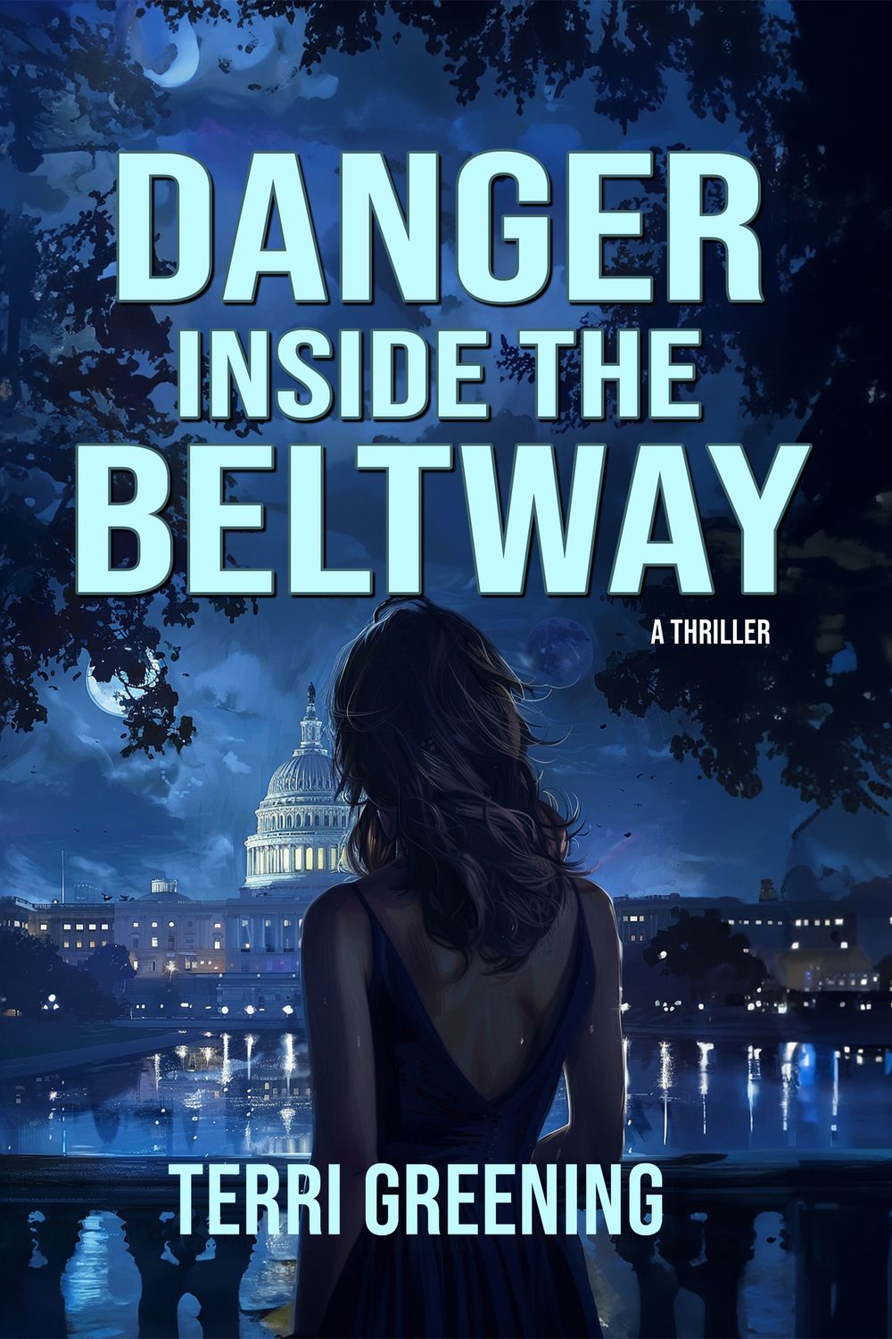 Danger Inside the Beltway - eBook