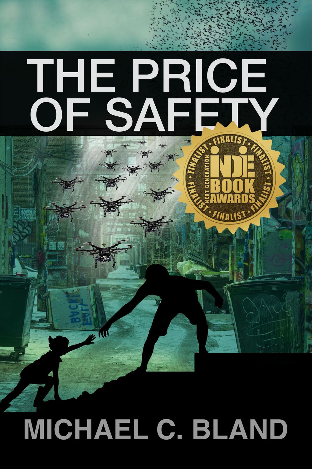 The Price of Safety - eBook