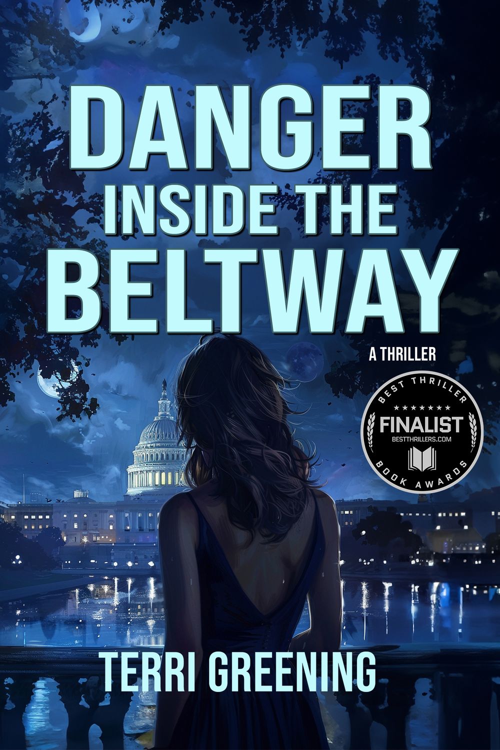 Danger Inside the Beltway - eBook
