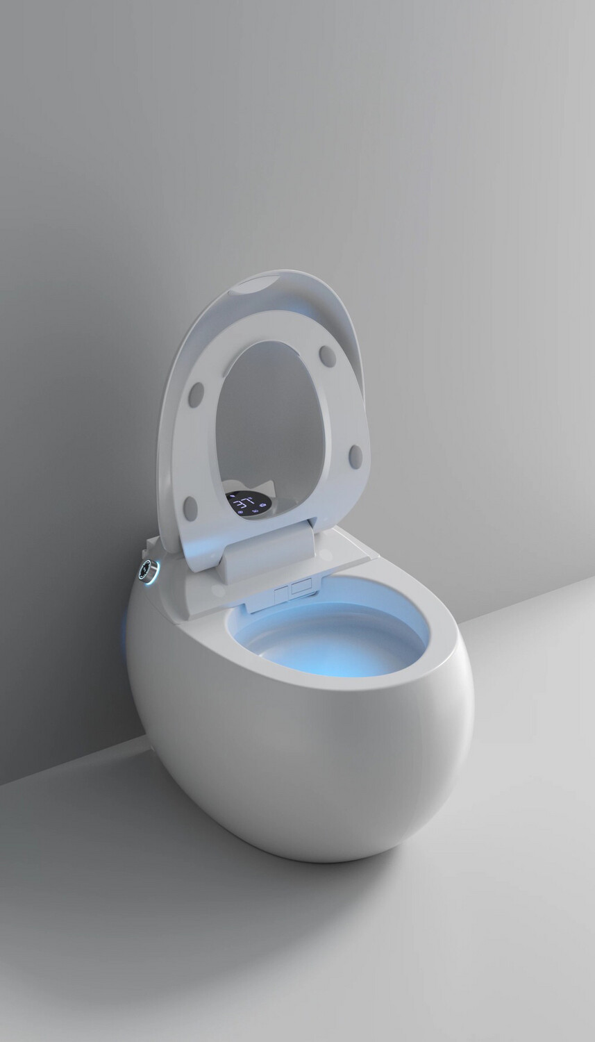 Intelligent Floor Mounted Smart Toilet