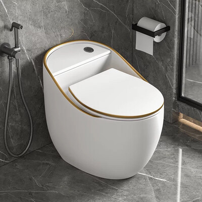 Luxury Smart S-trap Toilet