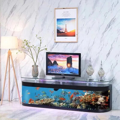 Luxury Fish Tank Glass Bullet Front TV Stand 