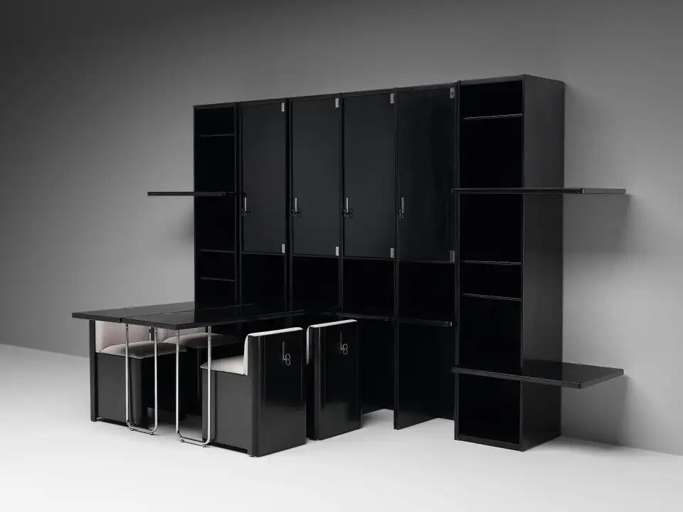 Modern Wall Unit in Lacquered Ash and Chrome
