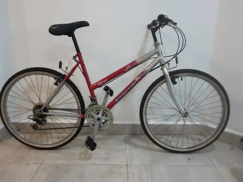 Dynamic Bike