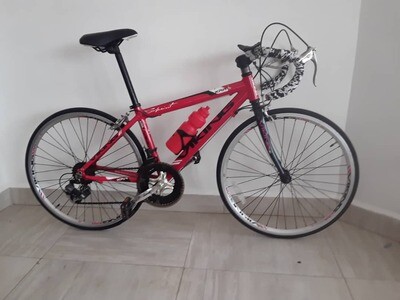 Junior Racing Bike