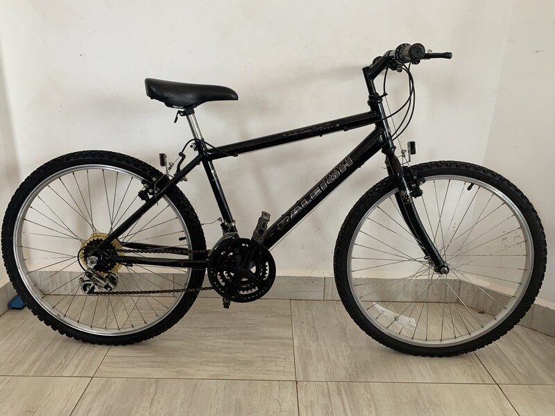 Raleigh Bike