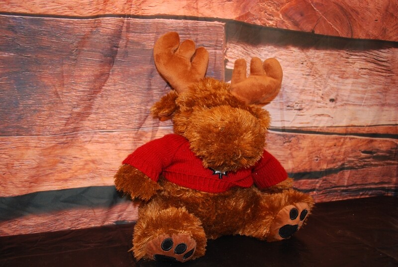 Stash Moose-Hides Your Valuables!