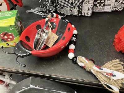 Lady Bug Scoop and Bowl-17in