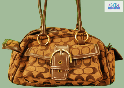 Coach Purse GO5q-8K40