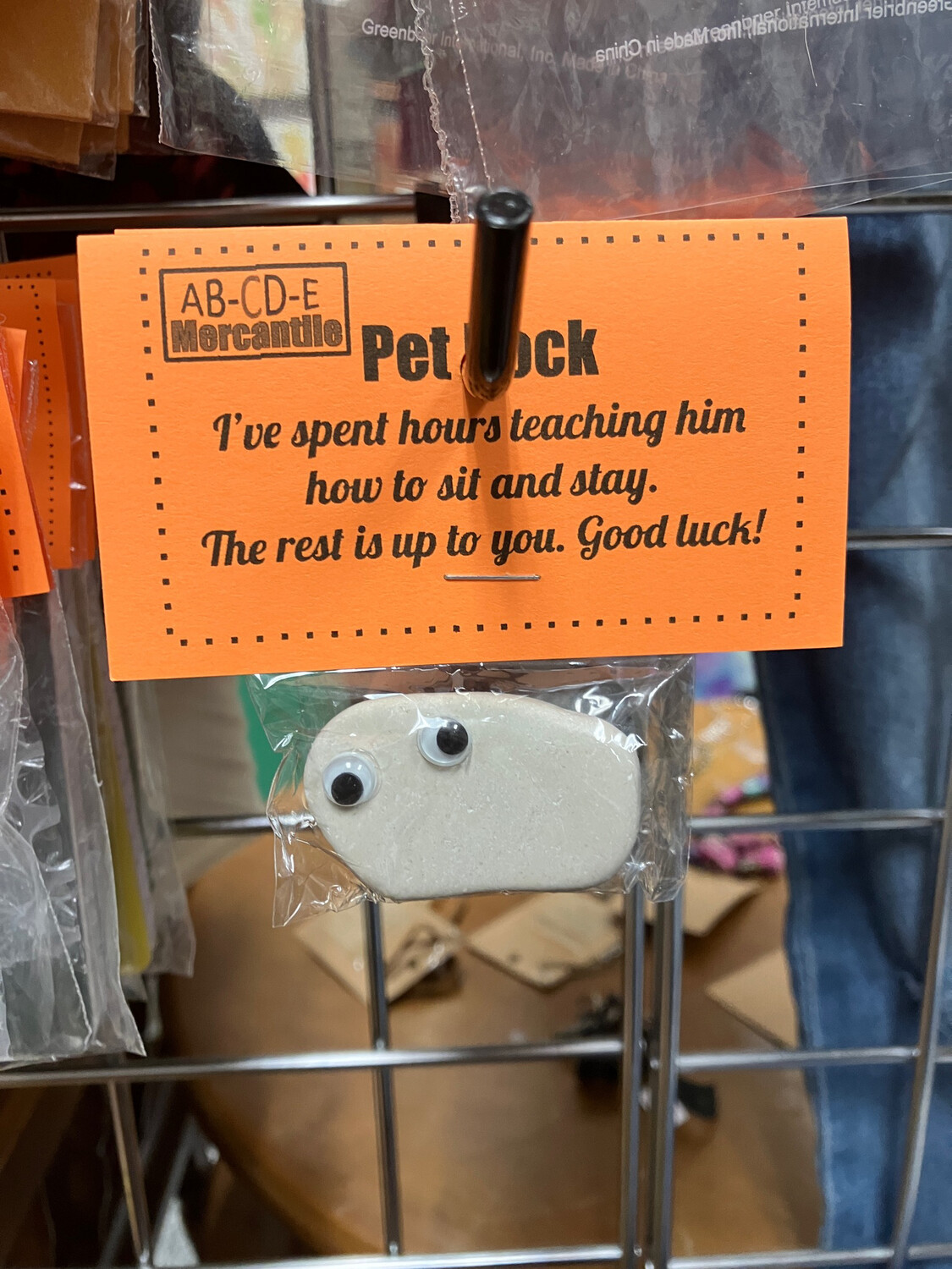 Gag Gift-Pet Rock