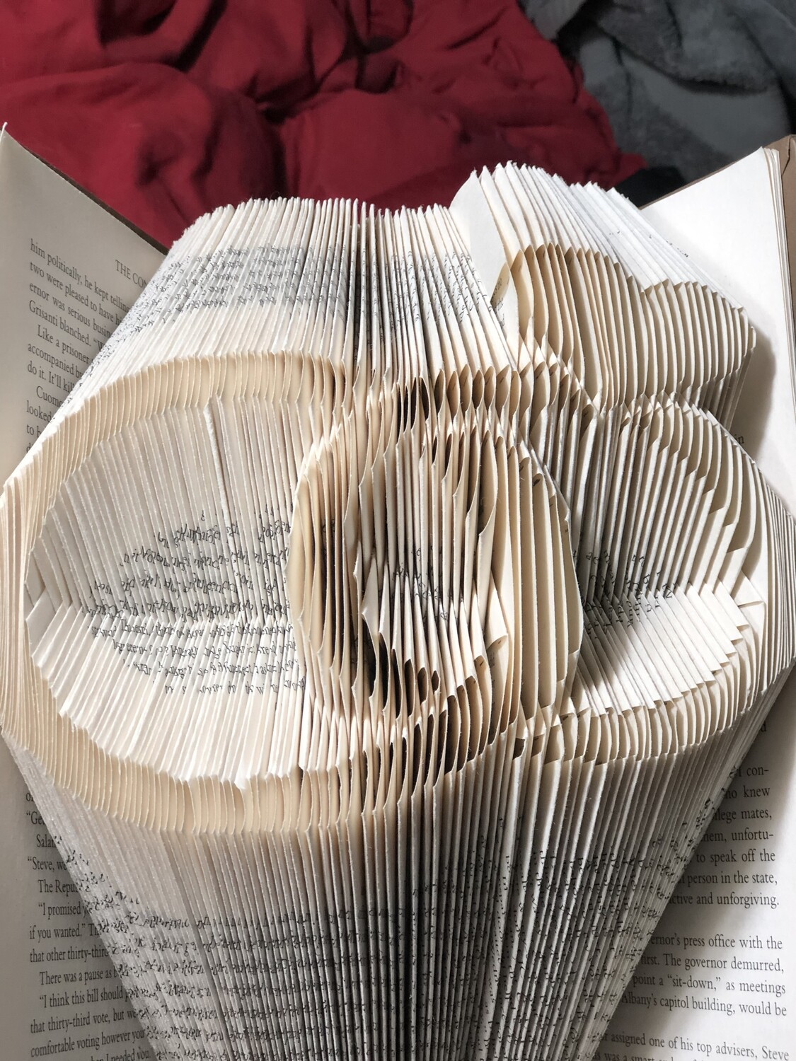 Wedding Rings Only-Fold
