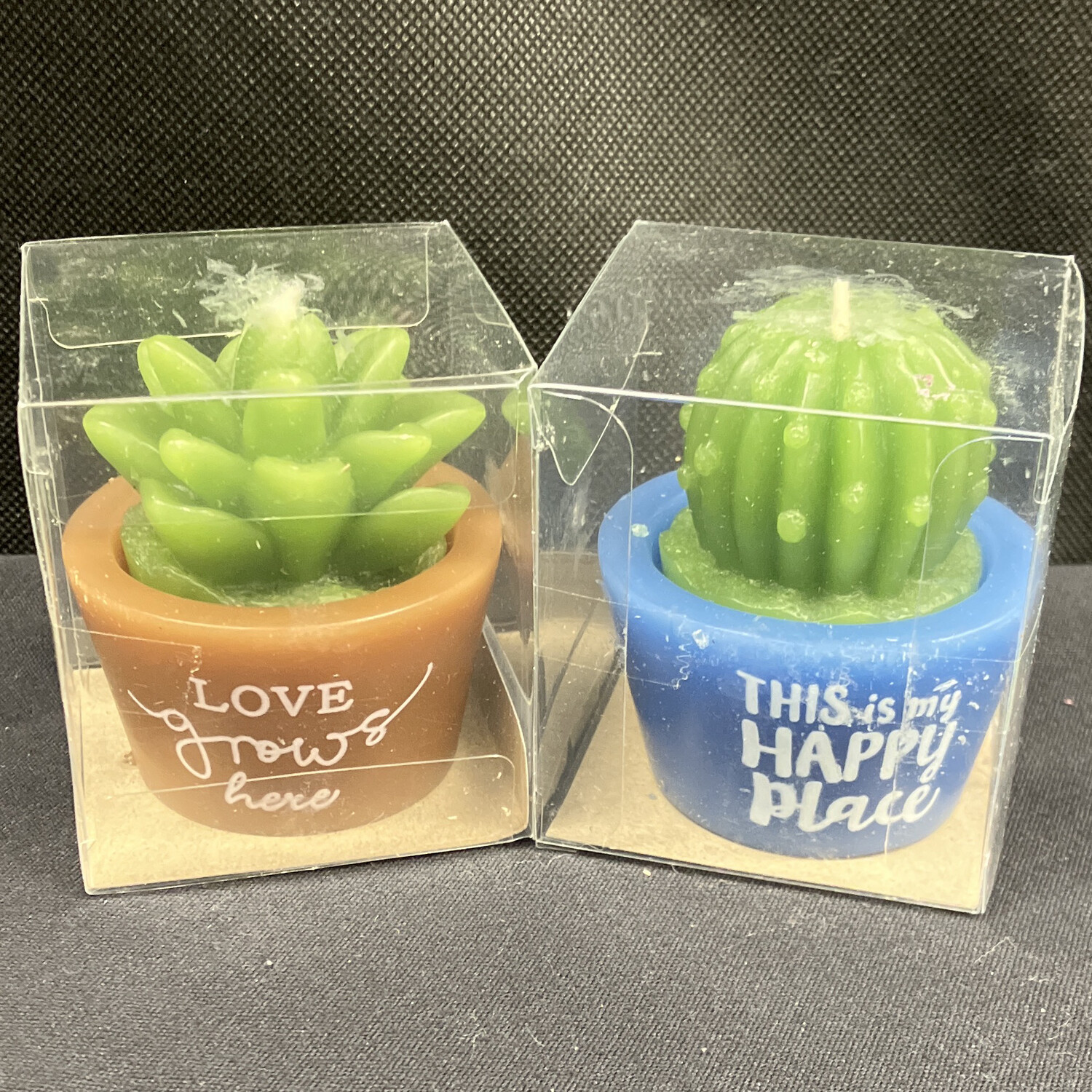 Succulent Candle 2 Pc Set