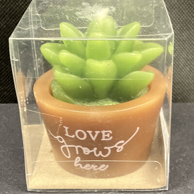 Succulent Candle 2 Pc Set