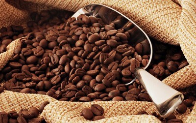 Single Origin
