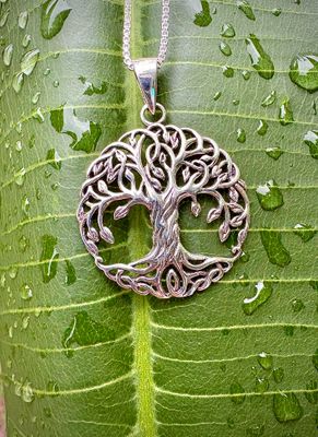 Elegant sterling silver Tree of Life pendant with Celtic knot design, symbolizing growth and connection, shown on green leaf.