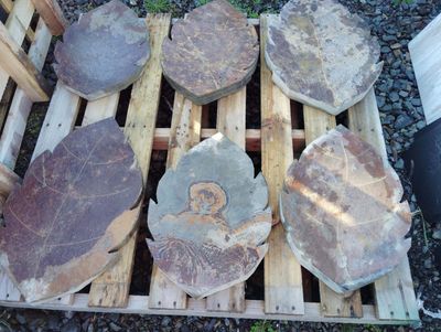 Rusty Colour Leaf-Shape Slate Stepping - 400-500x 50mm Thickness
