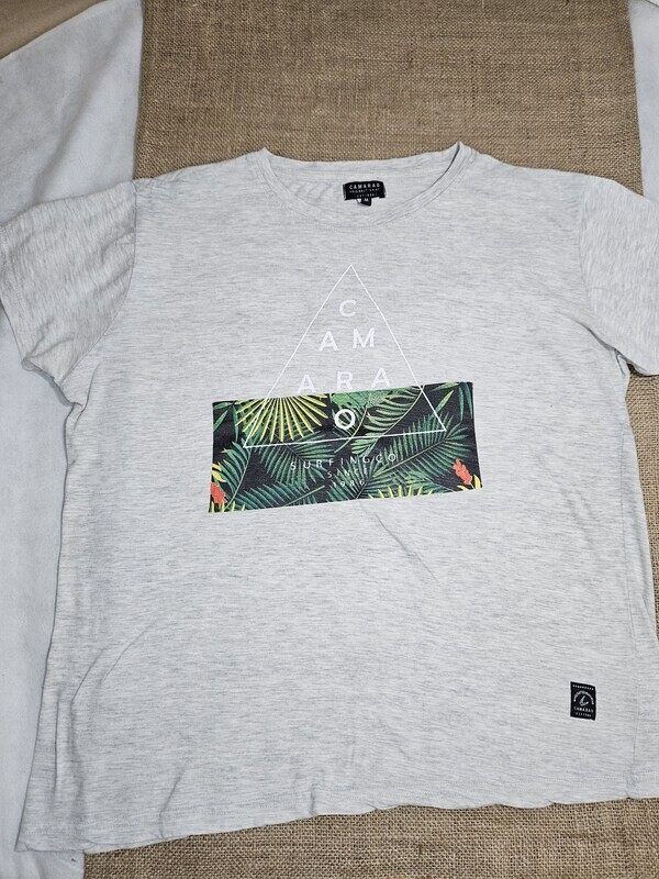 REMERA DE MANGA CORTA, COLOR GRIS CLARO, CON ESTAMPA AL FRENTE, MARCA CAMARAO, TALLE M