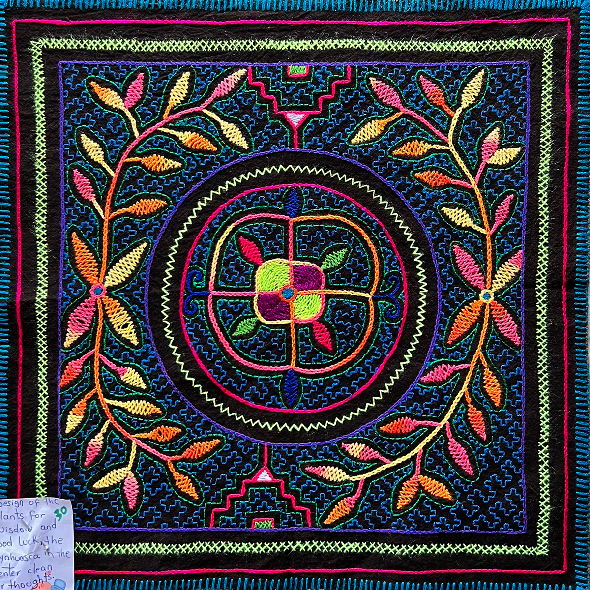 #30 Song with the plants for wisdom and good luck song of ayahuasca in the center to clean our thoughts and heal our bodies 15” x 14”