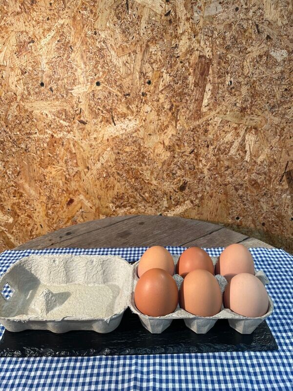 6 OEUFS BIO