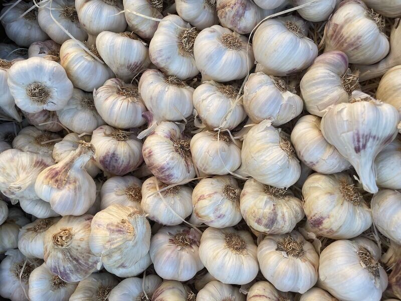 AIL 100g
