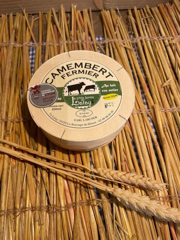CAMEMBERT 250g