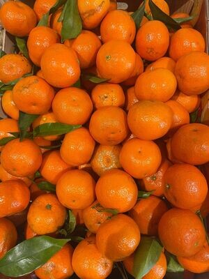 CLEMENTINES 500g
