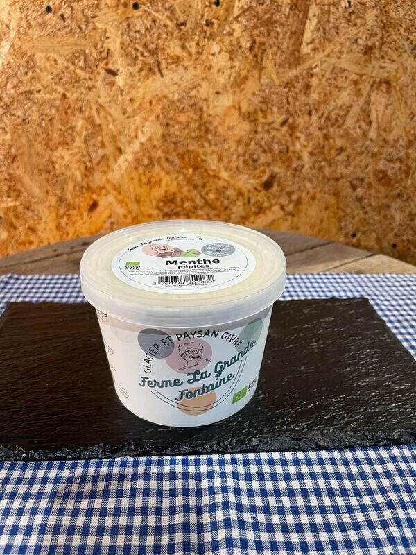 CREME GLACEE MENTHE PEPITES 500ML