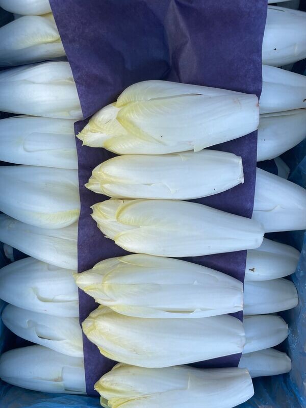 ENDIVE 500g