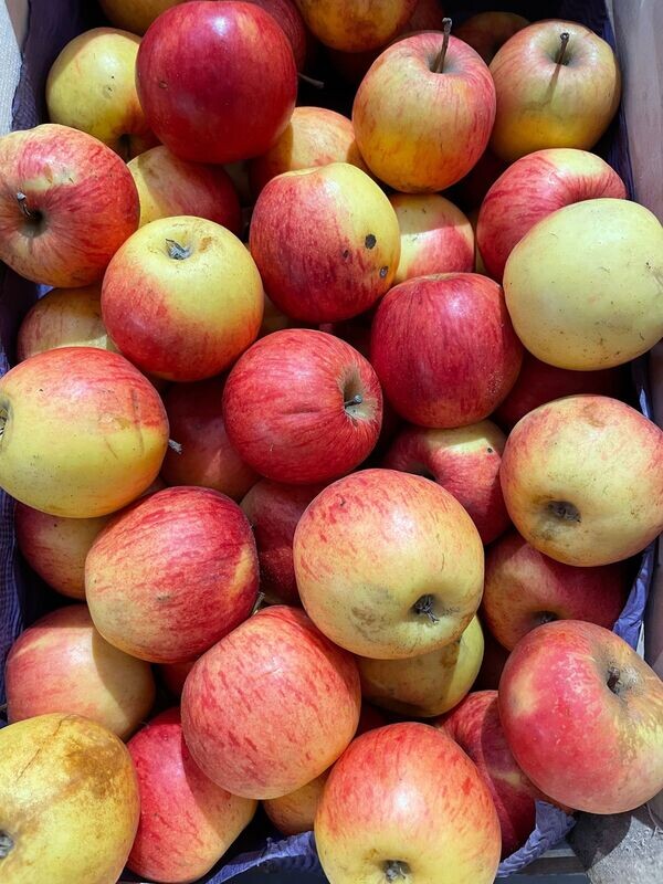 POMMES 1kg