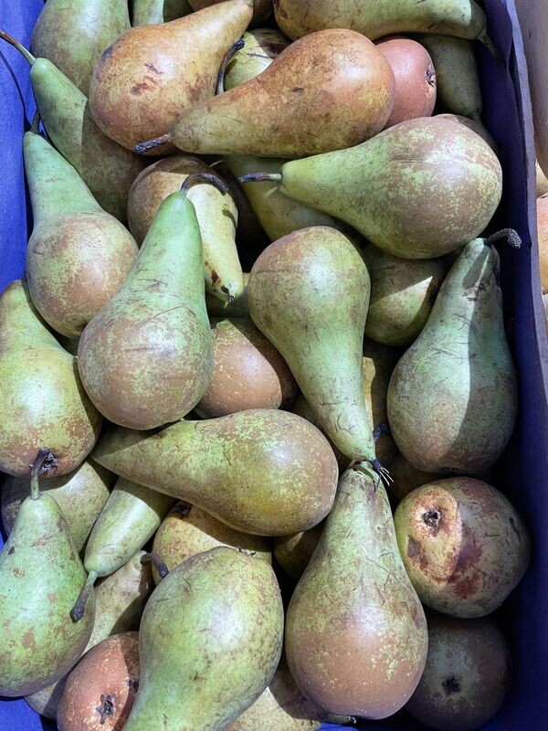 POIRES 1kg