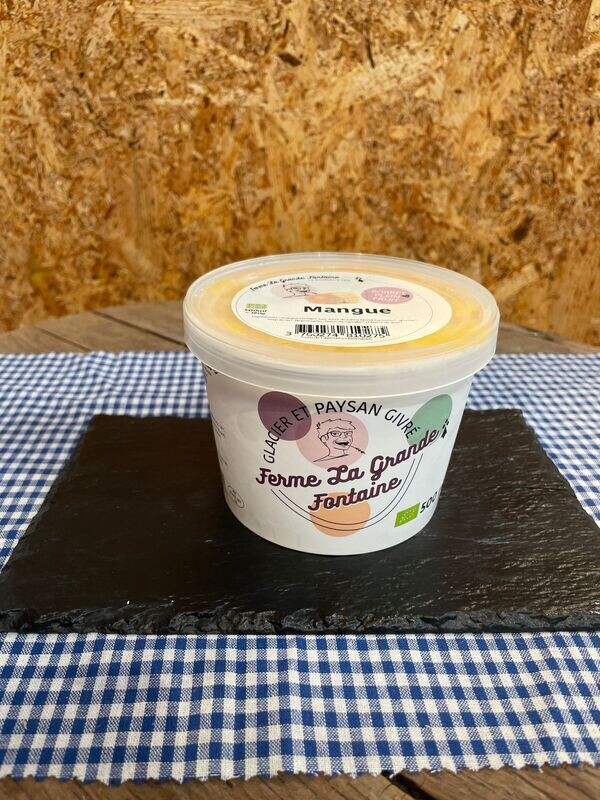SORBET MANGUE 500ML