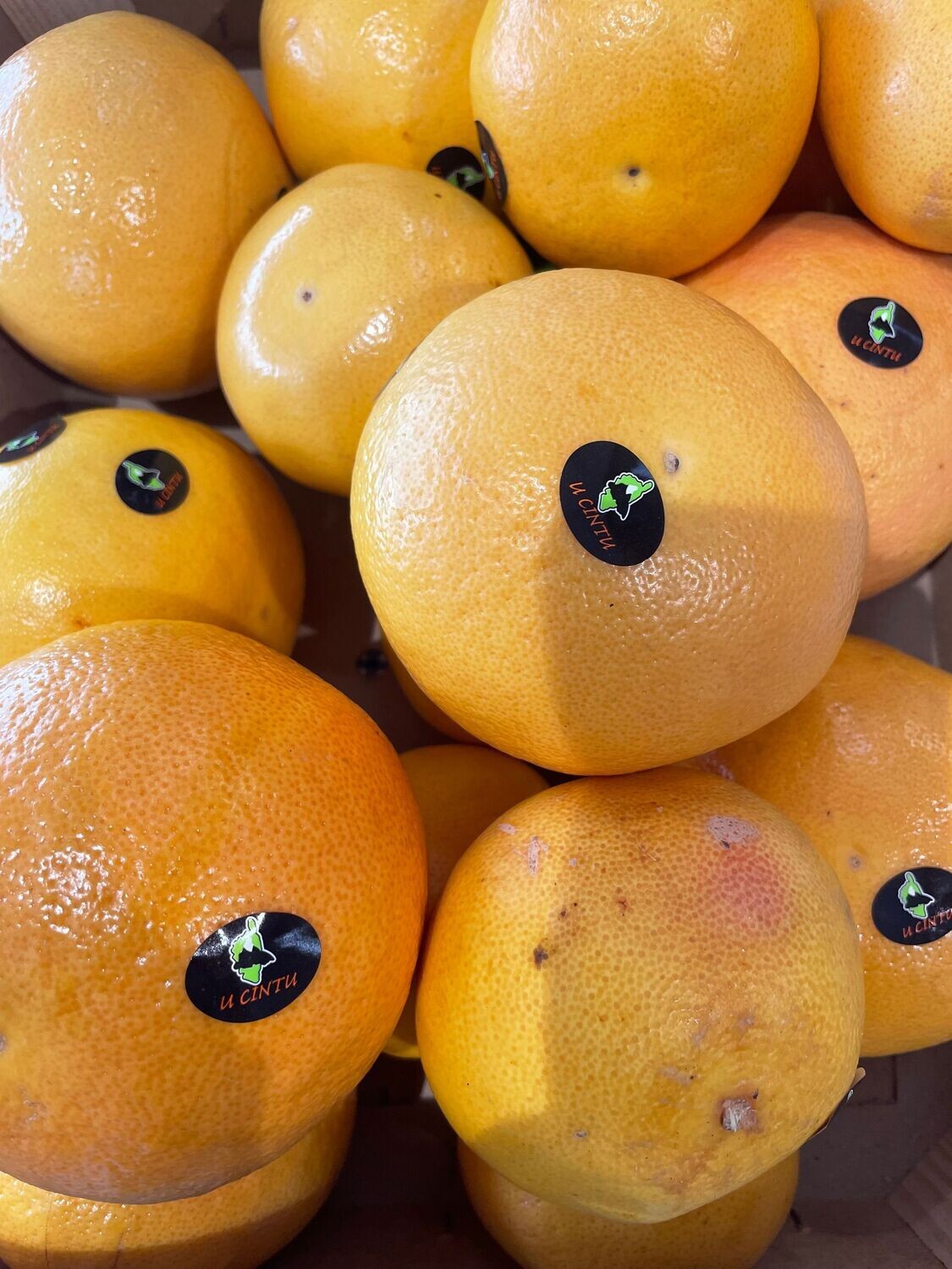 POMELOS