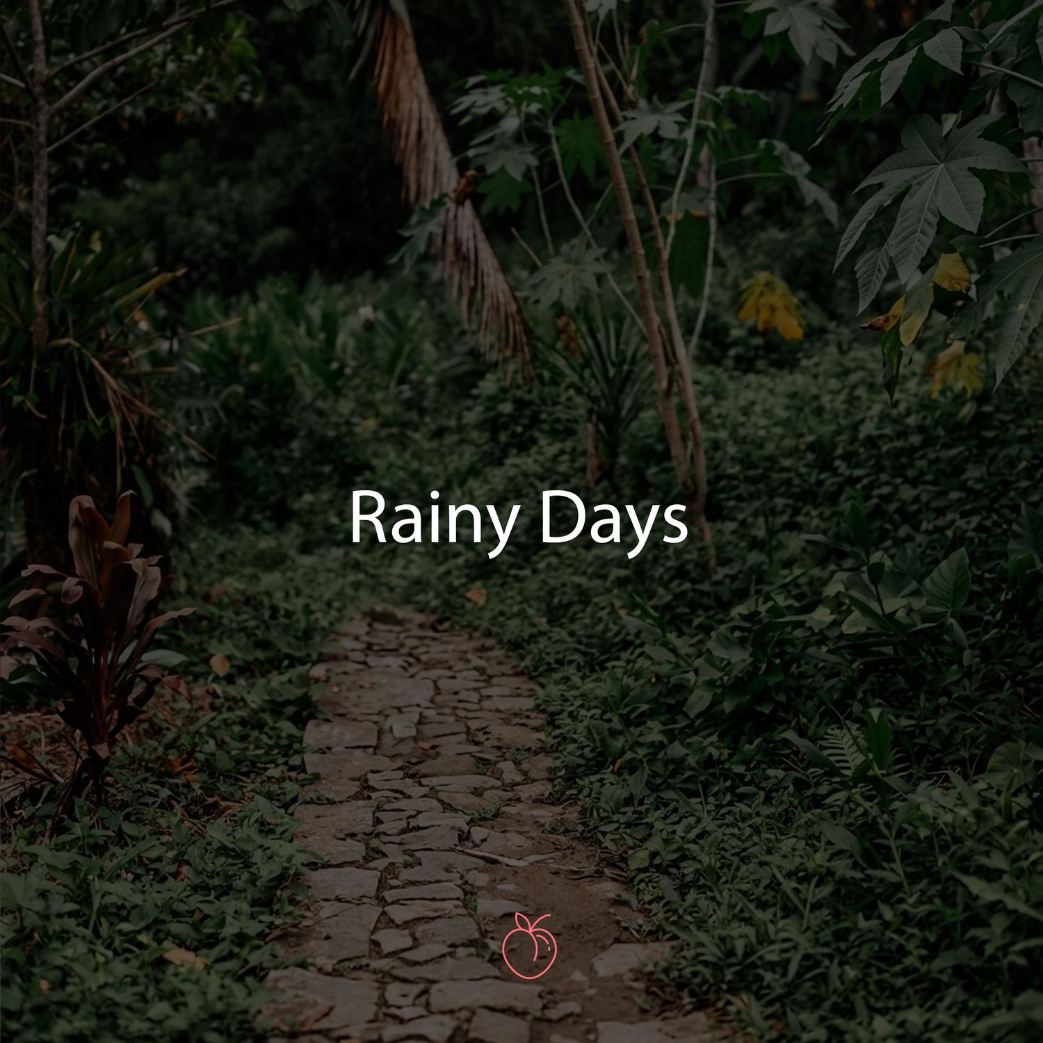 Duraznos Set Rainy Days