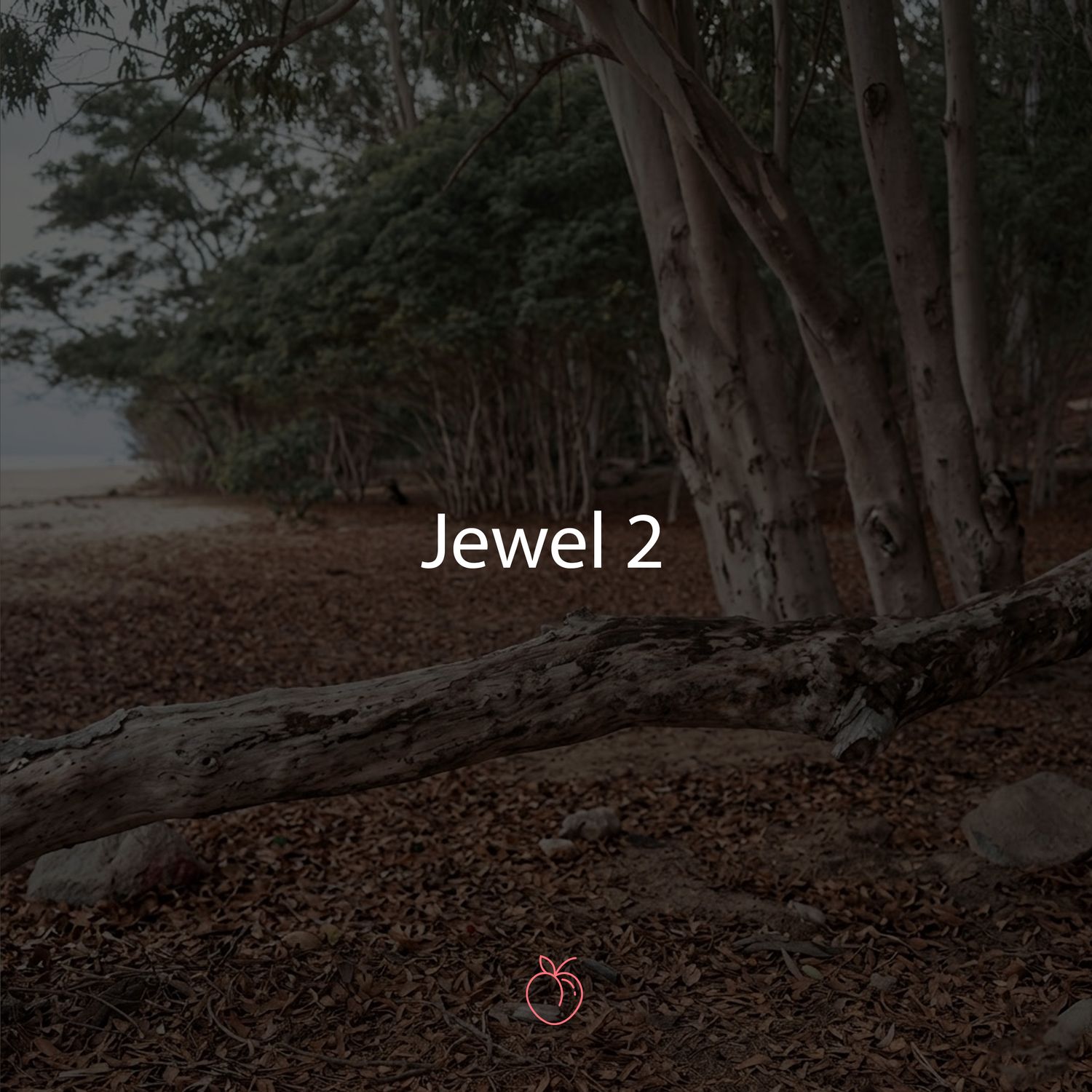 Duraznos Set Jewel 2