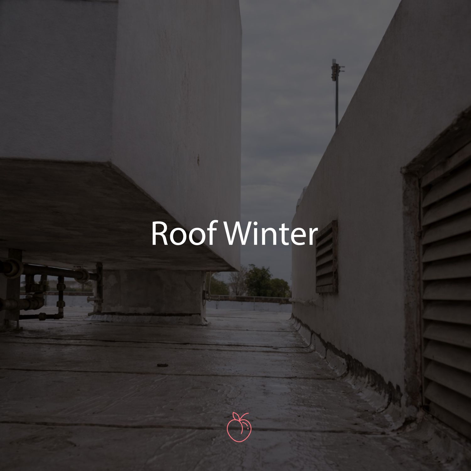 Duraznos Set Roof Winter