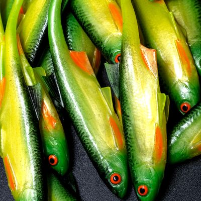 Leurres Angry / Portugal Predators