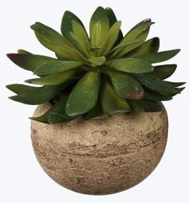 Artificial Succulent in Stone
