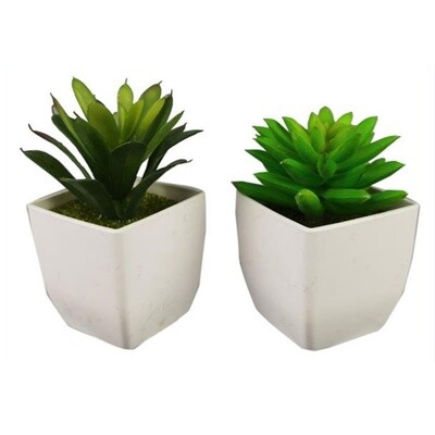 White Potted Artifical Succulent