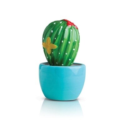 Can't Touch This' Cactus Mini
