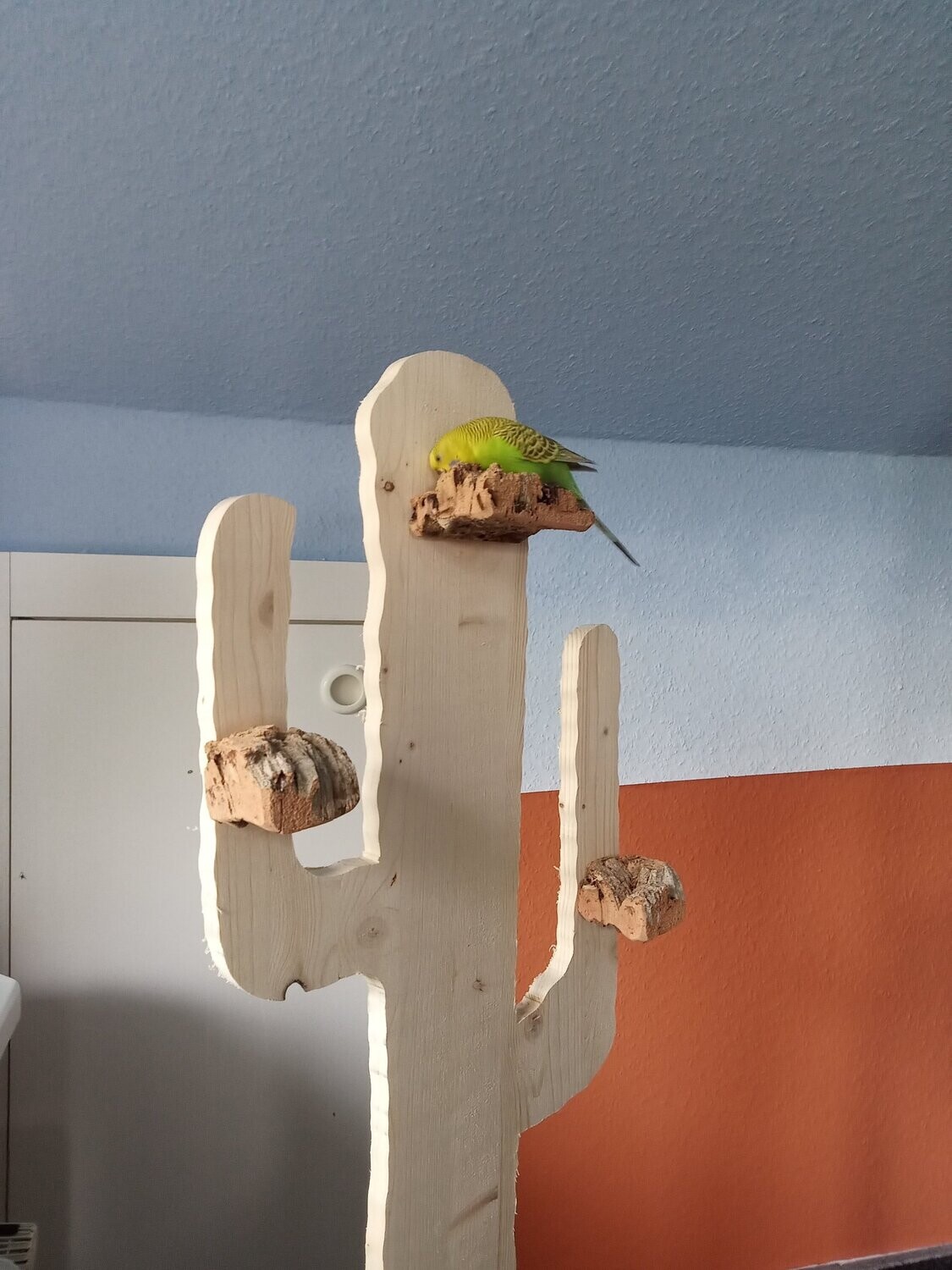 Kaktus "Outback" 200 cm "Fürs Zimmer"