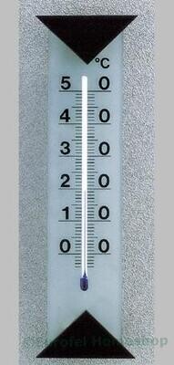 Kamer thermometer glas/zwart beuken