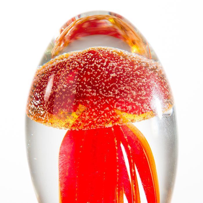 Presse-papier Glasart, incl. rode kwal
​​​​