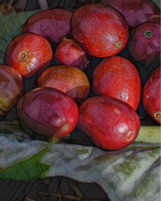 Fermentation Process