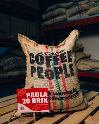 Paula 20 Brix 86 Points | Natural Process | Green Coffee Sack | From 8.43 / lb Paula 20 Brix 86 Points | Natural Process | Green Coffee Sack | From 8.43 / lb