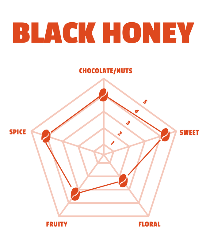 Black Honey | Green Coffee Sack | From 7.01 / LB