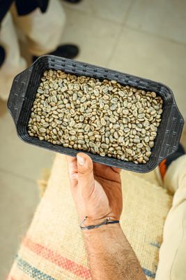 Green Coffee Sample Pack "I need help deciding" 5 bags x 200g