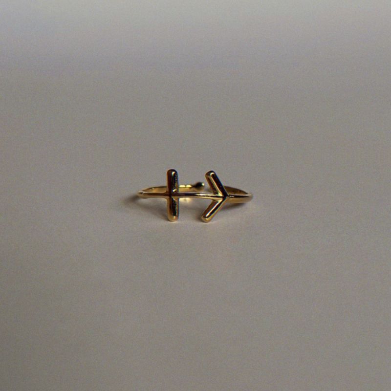 Anillo Sagitario